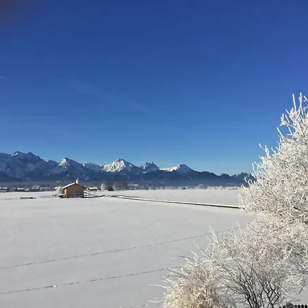 Amazing In * Schwangau