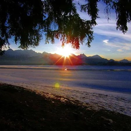 Amazing In * Schwangau